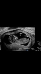 Name:  IMG_4257.jpg
Views: 135
Size:  4.2 KB