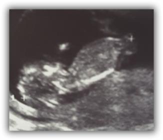 Name:  sshot-1.jpg
Views: 243
Size:  9.9 KB