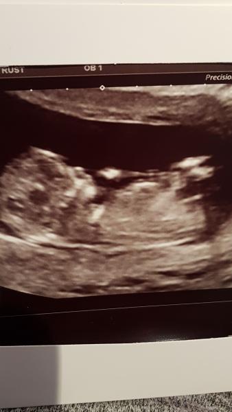 Name:  Scan 125.jpg
Views: 144
Size:  22.2 KB