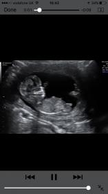 Name:  IMG_4483.jpg
Views: 195
Size:  5.7 KB