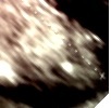 Name:  061.JPG
Views: 171
Size:  20.6 KB