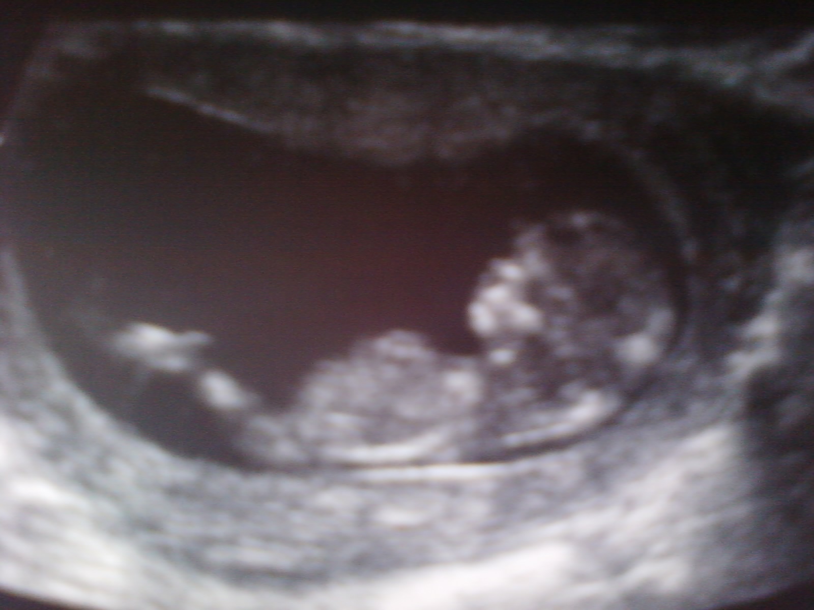 Name:  Scan 2.jpg
Views: 113
Size:  277.4 KB