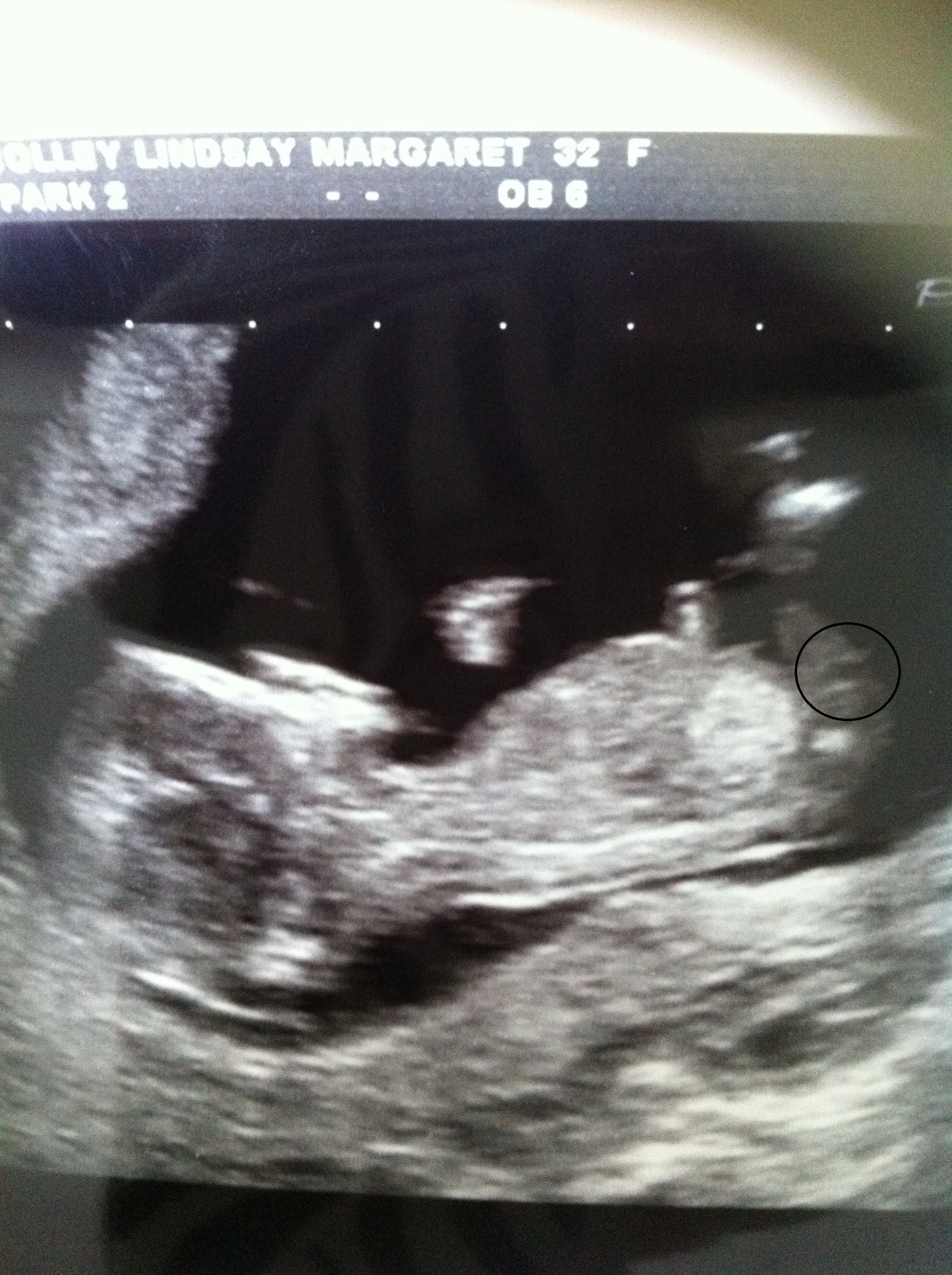 Name:  scans 2 042.JPG
Views: 96
Size:  1.53 MB