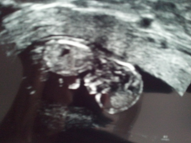 Name:  2012-10-03 12.49.04.jpg
Views: 380
Size:  86.0 KB