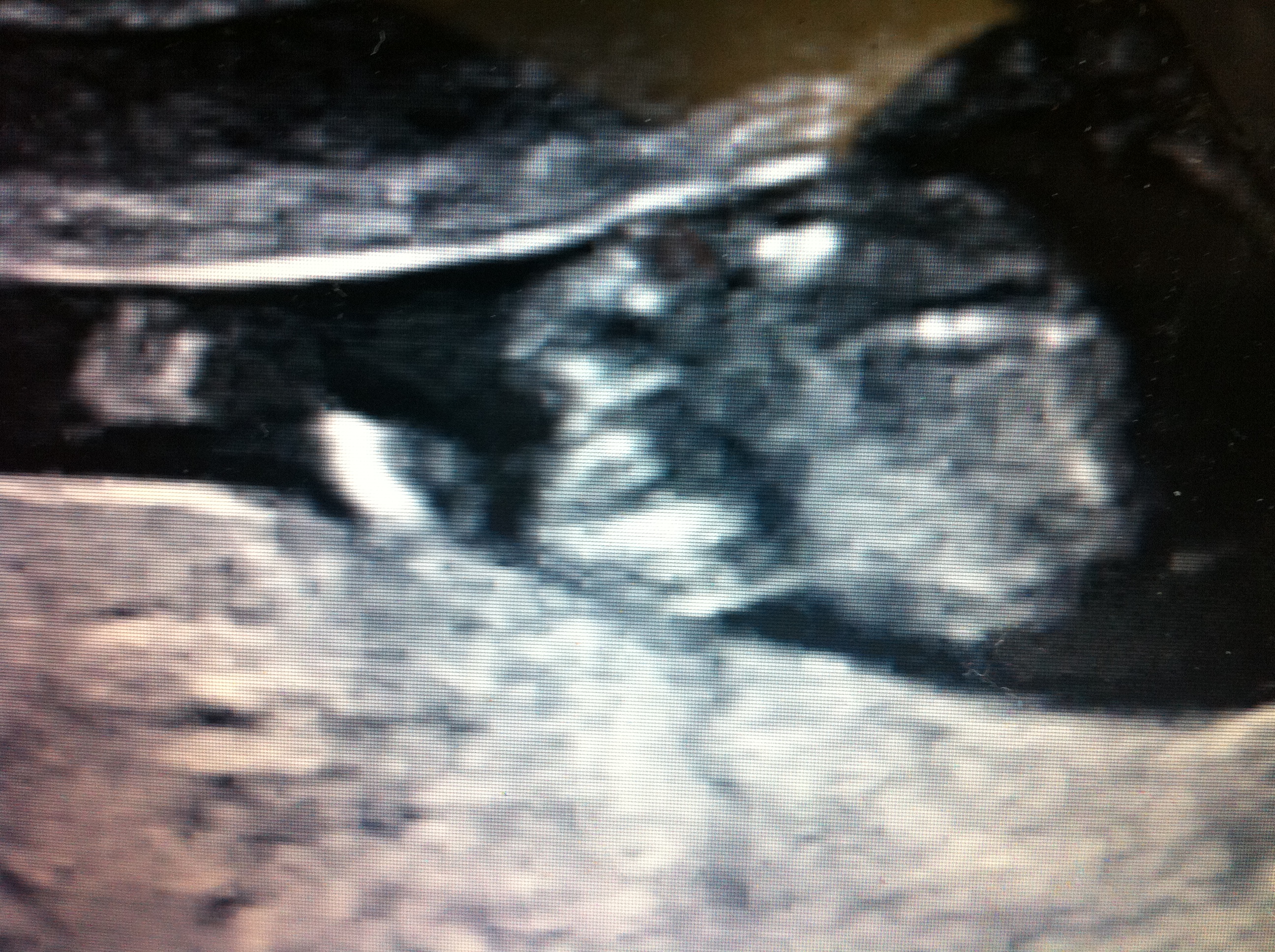 Name:  Baby facebook 078.JPG
Views: 209
Size:  2.41 MB