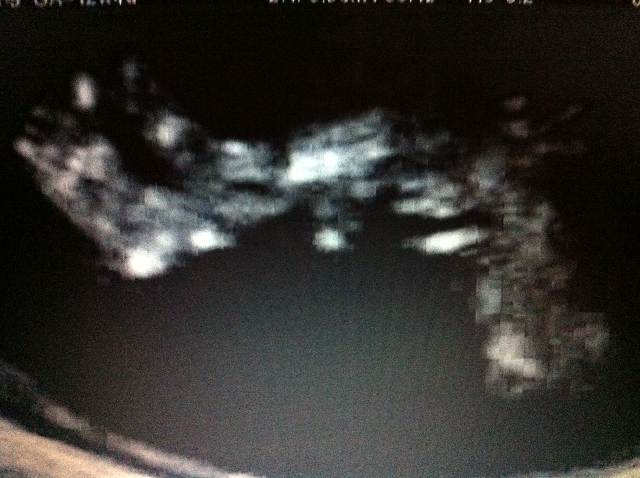 Name:  Baby 120.JPG
Views: 170
Size:  1.73 MB