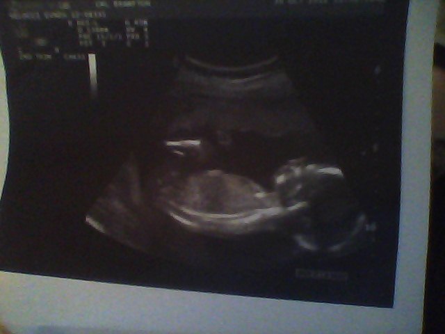 Name:  Snapshot_20121030_2.JPG
Views: 141
Size:  32.4 KB