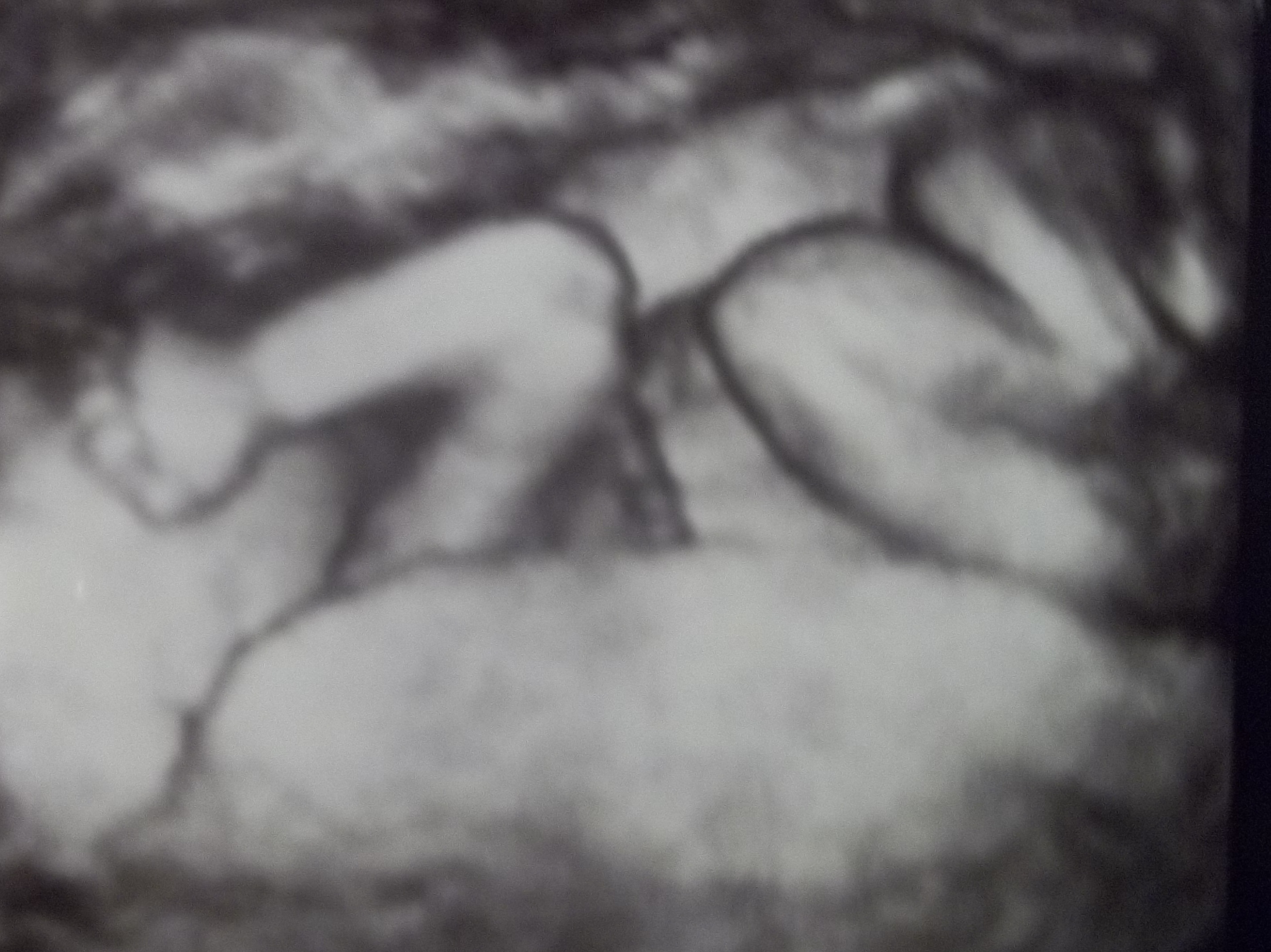 Name:  baby20wks.jpg
Views: 291
Size:  1.21 MB