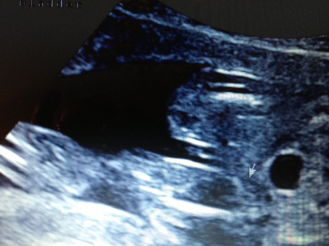Name:  baby3.jpg
Views: 243
Size:  105.1 KB