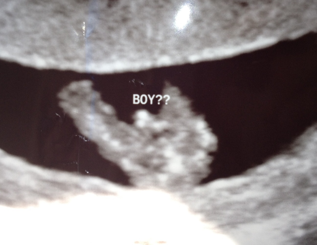 Name:  babe3.jpg
Views: 1816
Size:  195.2 KB