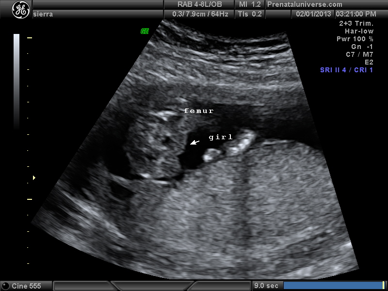 Name:  PICS_8.JPG
Views: 43297
Size:  149.6 KB