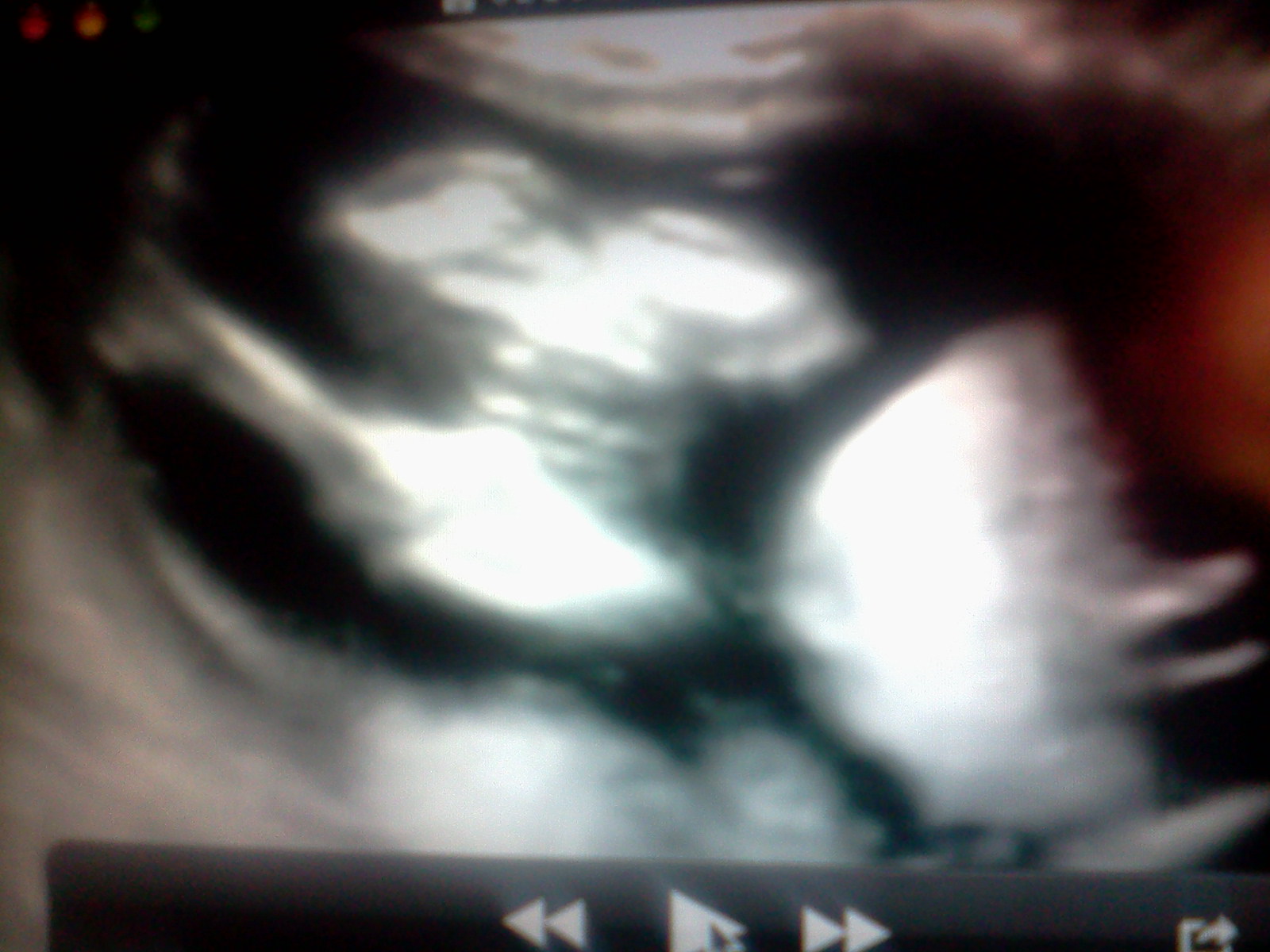 Name:  0210131722.jpg
Views: 165
Size:  255.6 KB
