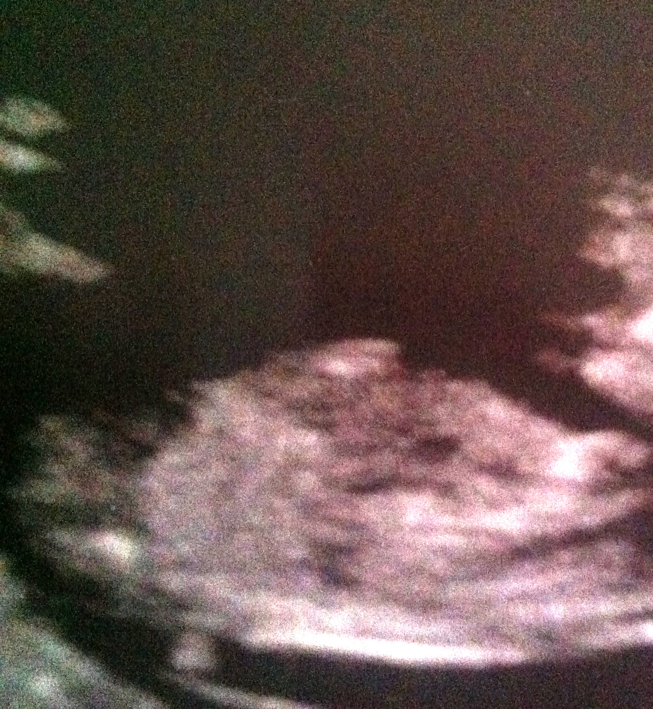 Name:  babyclose2.jpg
Views: 83
Size:  892.8 KB