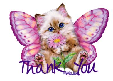 Name:  kittythankyou.jpg
Views: 526
Size:  19.7 KB