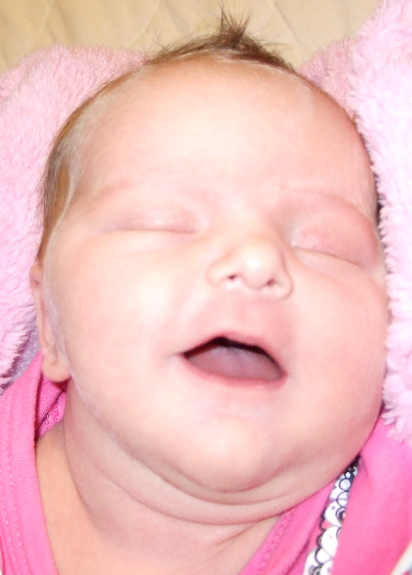 Name:  DSCF3105.JPG
Views: 400
Size:  591.7 KB