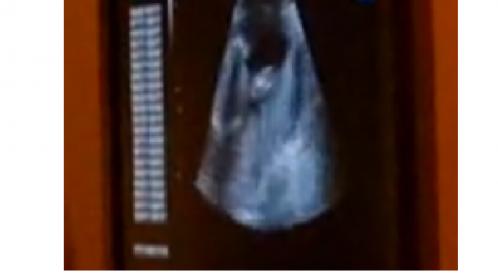 Name:  buddy.jpg
Views: 175
Size:  10.8 KB