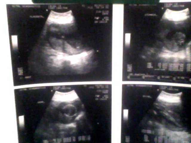 Name:  Snapshot_20130218.JPG
Views: 147
Size:  47.7 KB