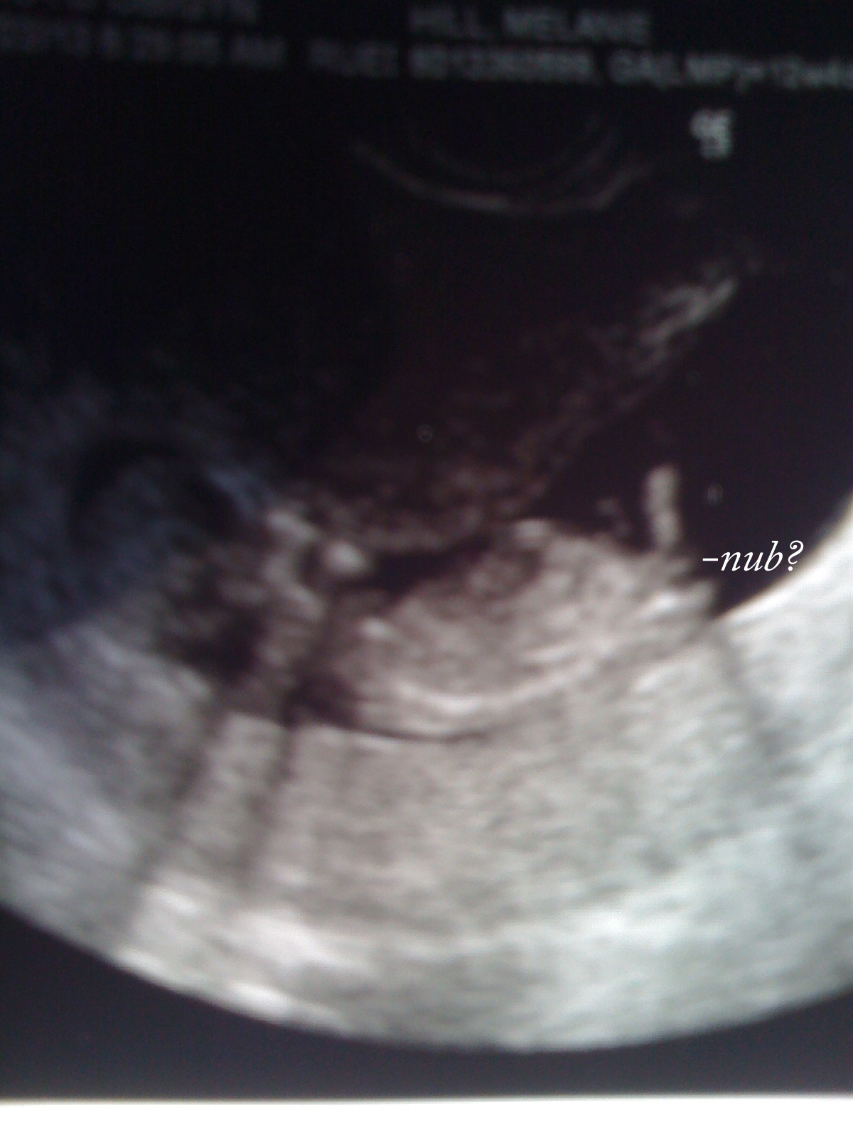 Name:  photo (25).JPG
Views: 426
Size:  408.8 KB