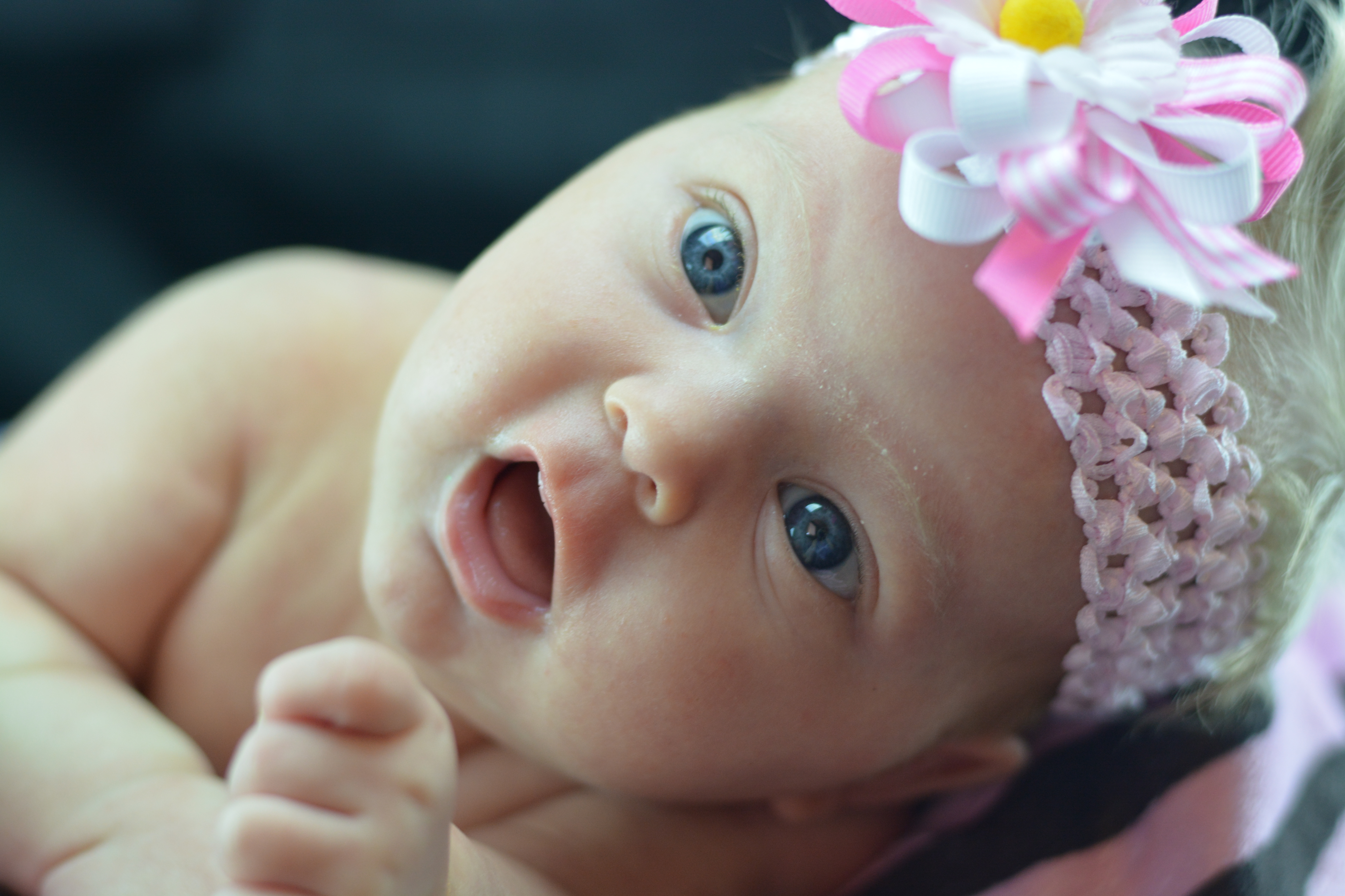 Name:  DSC_1238.JPG
Views: 364
Size:  7.88 MB