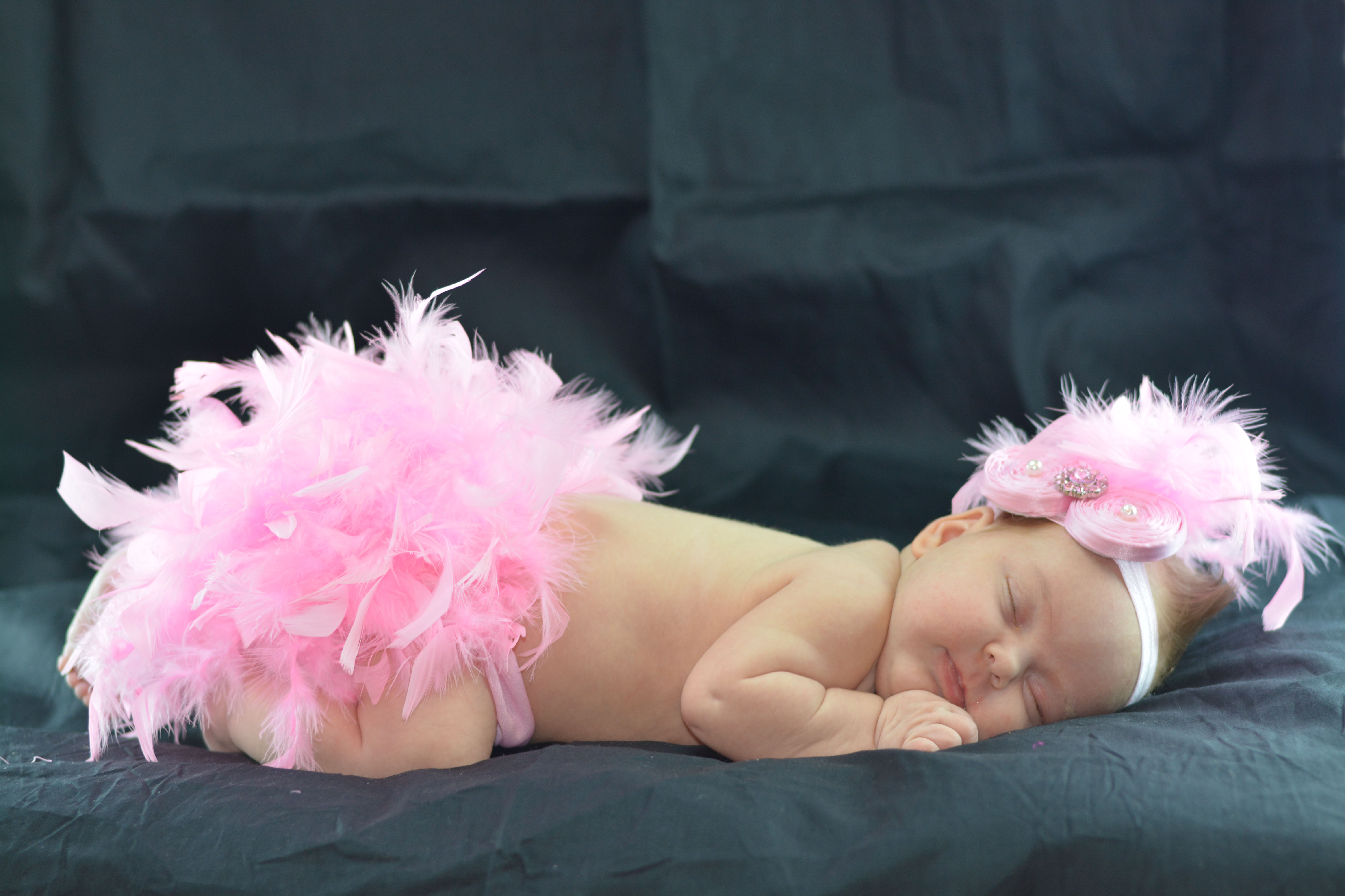 Name:  DSC_0819a.jpg
Views: 202
Size:  1.61 MB