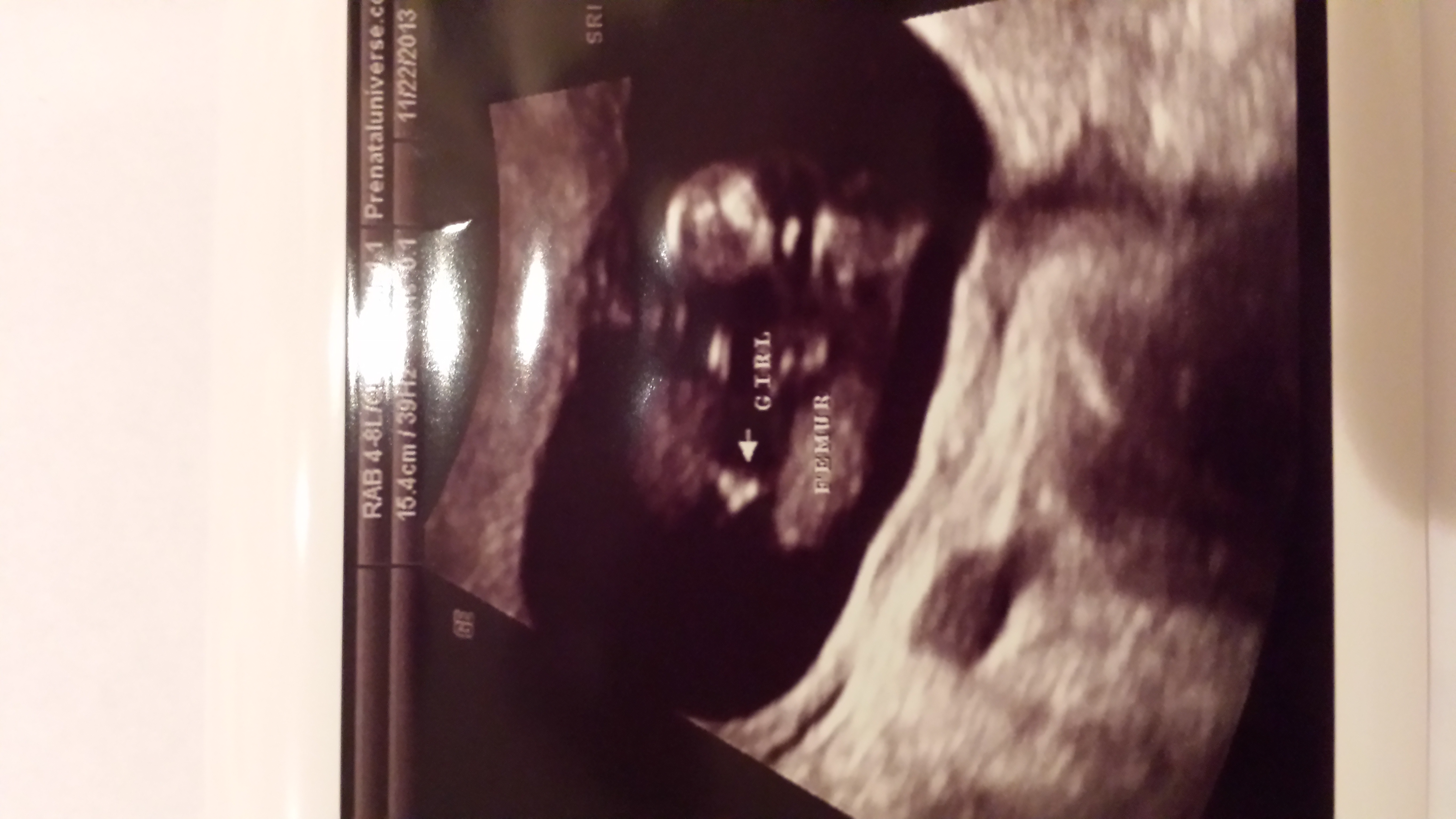 Name:  20131122_165520.jpg
Views: 372
Size:  1.56 MB