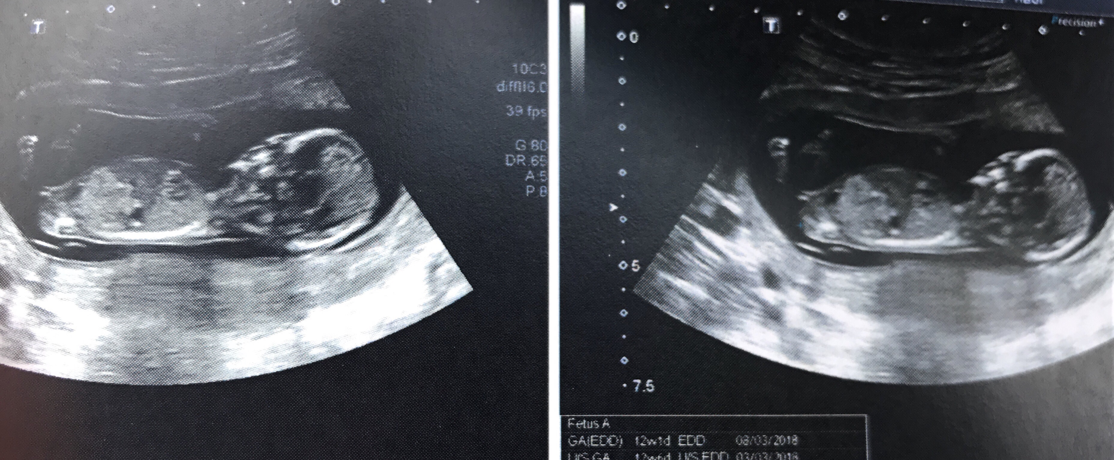 Name:  IMG_9344.JPG
Views: 2149
Size:  1.57 MB