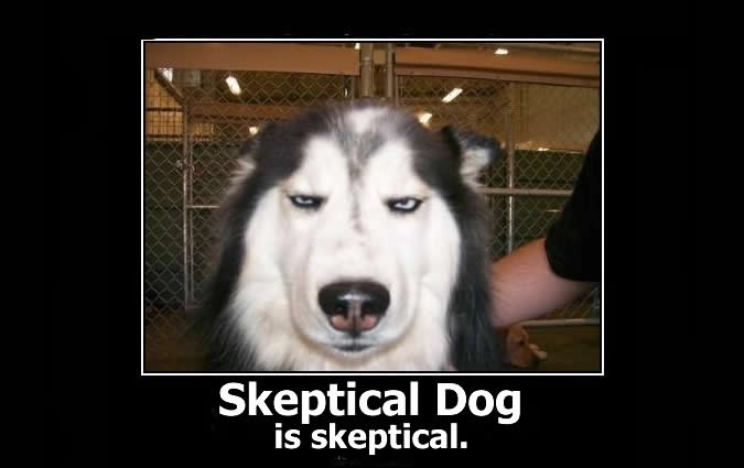 Name:  skeptical_dog1-180hprn.jpg
Views: 160
Size:  23.9 KB