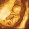 bexkittie's Avatar