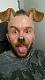 StephenFox's Avatar