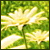 4giannac2185yr6's Avatar