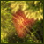 vingoodaq20's Avatar