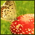 2adriane792ye2's Avatar