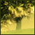 udylyquta's Avatar