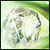 Arnwineaq5's Avatar
