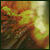 adupimoz's Avatar