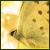 udykujuja's Avatar