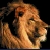 4lydiac48100rp2's Avatar