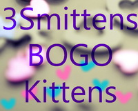 3SmittensBOGOKittens's Avatar