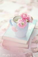 ksmom's Avatar ksmom's Avatar