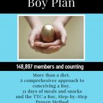 The Complete Boy Plan- includes the 21 Day Meal Plan for a Boy