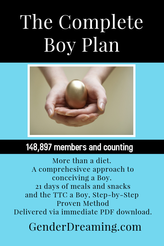 The Complete Boy Plan- includes the 21 Day Meal Plan for a Boy